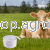 4_1bd5.png