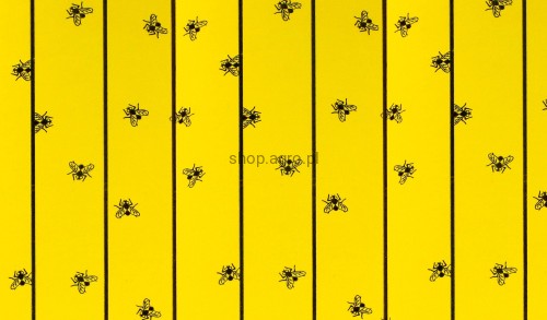 299842_1.j_b864.jpg