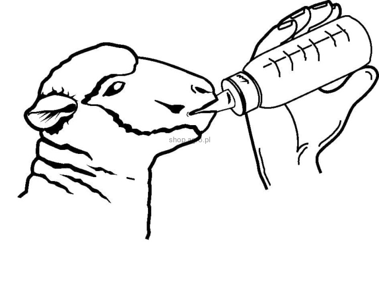 85450_Illustration__278_8d8a.jpg