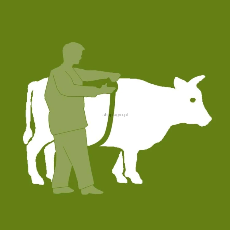 177310_Illustration__219_fbf0.jpg