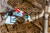 16282_20.j_eeea.jpg