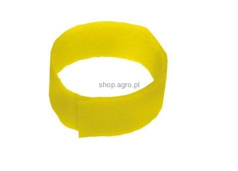 2853_8074.jpeg