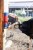 194049_Stimmungsbild_293100_bcdb.jpg