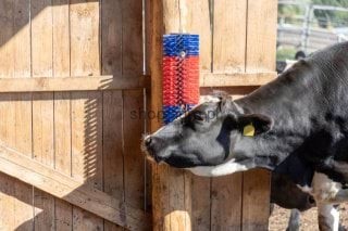 194054_Stimmungsbild_293100_a119.jpg