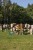 219046_Anwendungsbild__372879_ac40.jpg