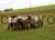 27397_20.j_1_5edf.jpg