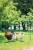 123607_Application_image_292278_79de.jpg