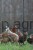 174362_Application_image__292420_9180.jpg