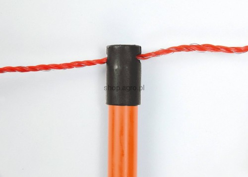 27251_1_fd21.jpg