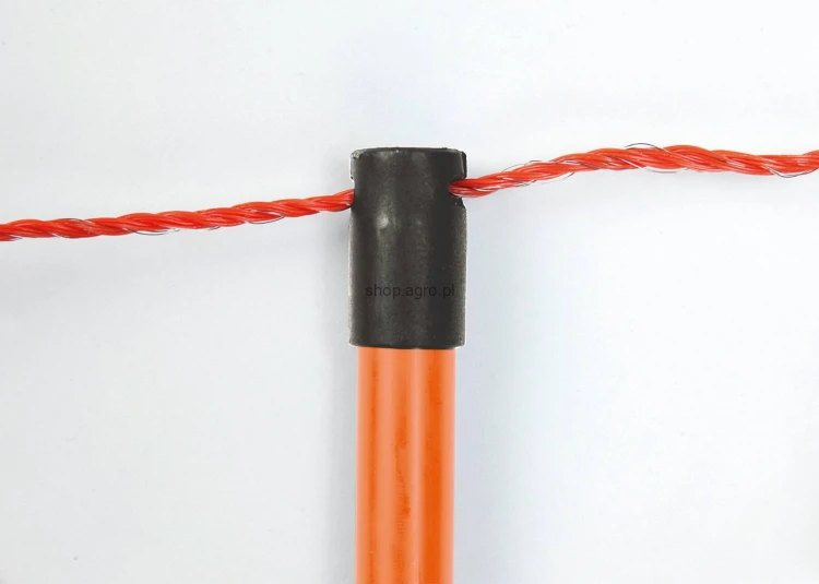 27251_1_fd21.jpg
