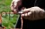 27252_7690.jpg