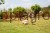 123596_Application_image__292203_1370.jpg