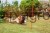 123597_Application_image__292203_666e.jpg