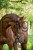 7143_Anwendungsbild_324912__1__52ae.jpg