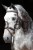 163898_Anwendungsbild_324911_d34a.jpg