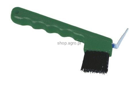 3842_e597.jpeg