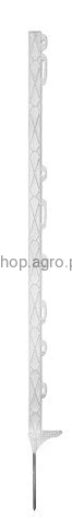 4815_9be3.jpeg
