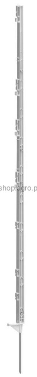 11562_3aa2.jpeg