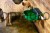 _DSC5246_f1d4.jpg