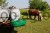 115781_Anwendungsbild__223619_b604.jpg
