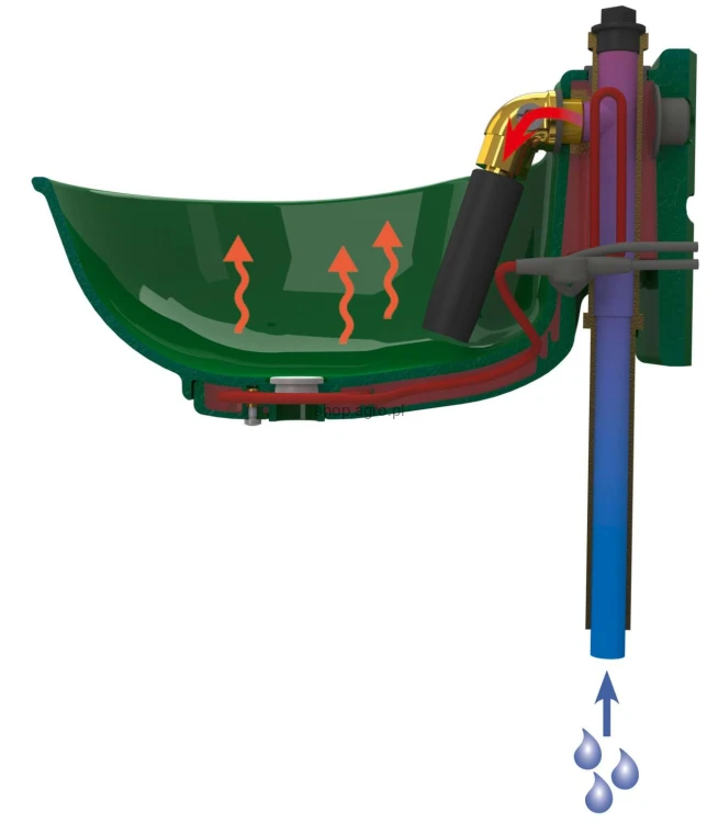 4135_Illustration_222040_f754.jpg