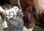 15890_21_e63b.jpg