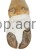 163878_Zusatzbild__16453_67f4.jpg