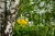 _DSC3290_9e40.jpg