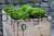 181139_Anwendungsbild__291130_11d9.jpg