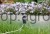 209618_Application_image__291130_ee55.jpg