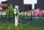 209621_Application_image__291130_1fef.jpg