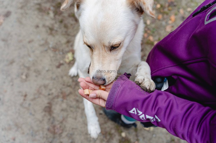 06_4516_1_d3cc.jpg