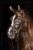 230231_Anwendungsbild__321713_47cc.jpg