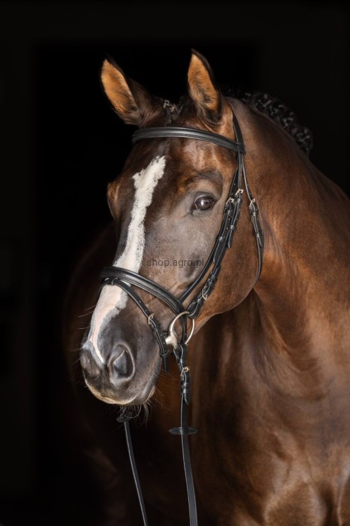 230231_Anwendungsbild__321713_47cc.jpg