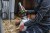 176486_Anwendungsbild__1730_0c6c.jpg