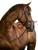 10940_Anwendungsbild_324912_e7dd.jpg