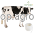 4_4849.png
