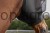 230450_Anwendungsbild__3230540_cc51.jpg