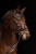 230899_Anwendungsbild__3230202_e1d1.jpg