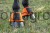 230549_Anwendungsbild__3230257_2614.jpg