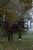 230482_Anwendungsbild__3230419_5e3f.jpg