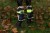 230479_Anwendungsbild__3230419_cb5e.jpg