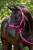 229767_Anwendungsbild__3230434_14e8.jpg