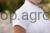 230668_Anwendungsbild__3230323_ad96.jpg