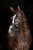 230238_Anwendungsbild__3230205_2355.jpg