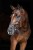 230236_Anwendungsbild__3230196_5dfe.jpg
