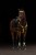 230484_Anwendungsbild__3230419_953c.jpg