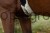 230477_Anwendungsbild__3230421_ab94.jpg