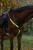 230480_Anwendungsbild__3230421_b215.jpg