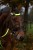 230474_Anwendungsbild__3230420_79b0.jpg